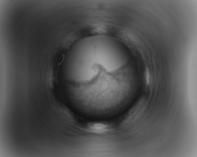 X0000090480223200707131322