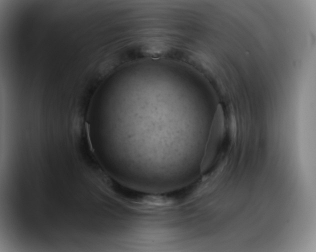 X0000090480227200707131322