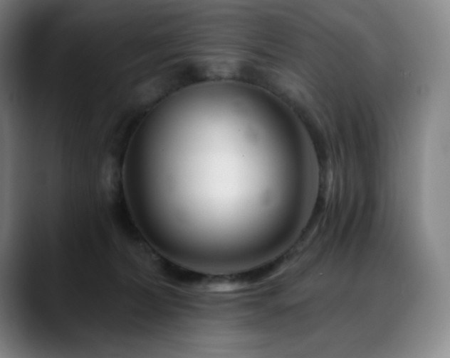 X0000090480228200707131322
