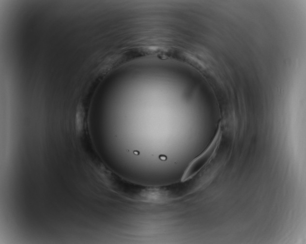 X0000090480231200707131322