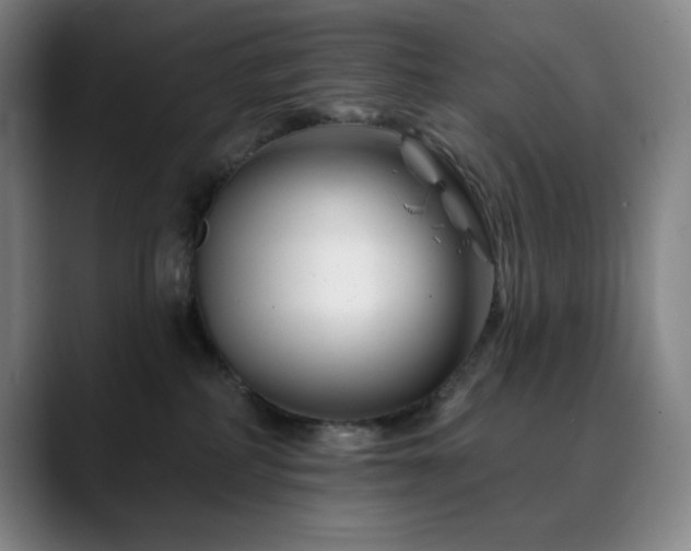 X0000090480234200707131322
