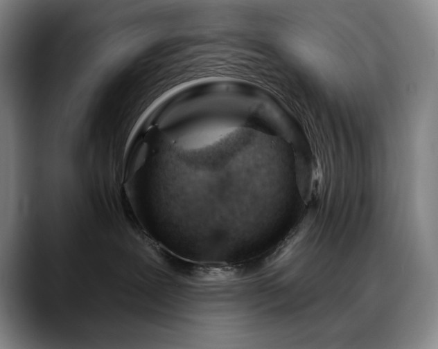 X0000090480239200707131321