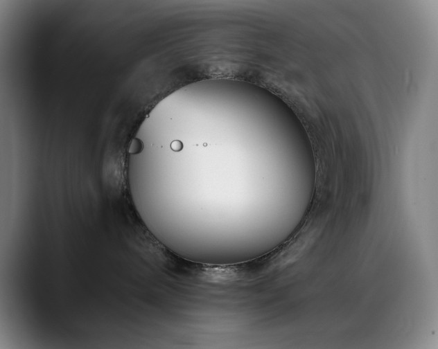 X0000090480240200707131321