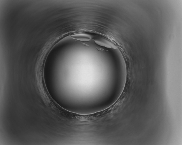 X0000090480241200707131321