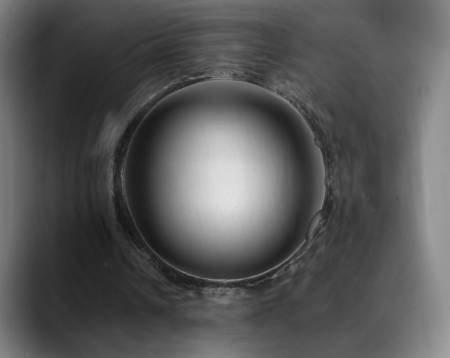 X0000090480242200707131321