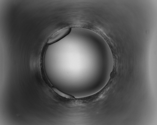 X0000090480244200707131321