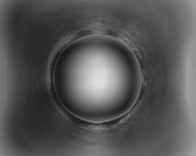 X0000090480245200707131321