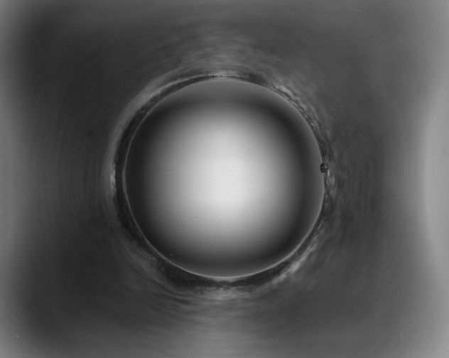 X0000090480246200707131321