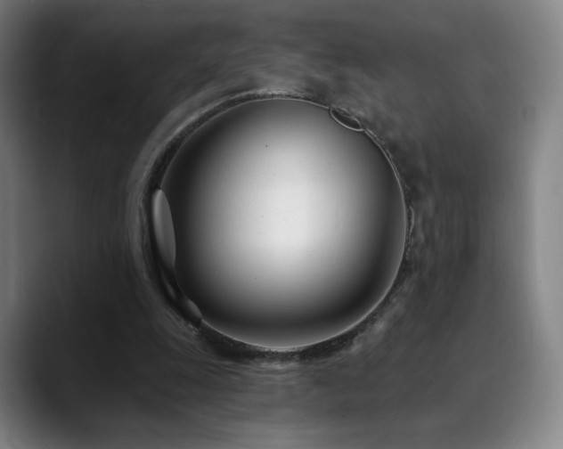 X0000090480247200707131321