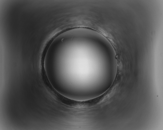 X0000090480248200707131321