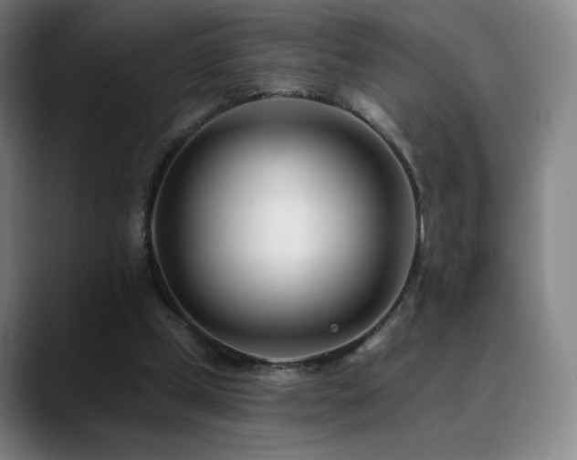 X0000090480249200707131321