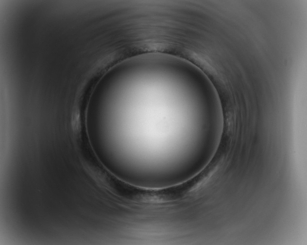 X0000090480254200707131321