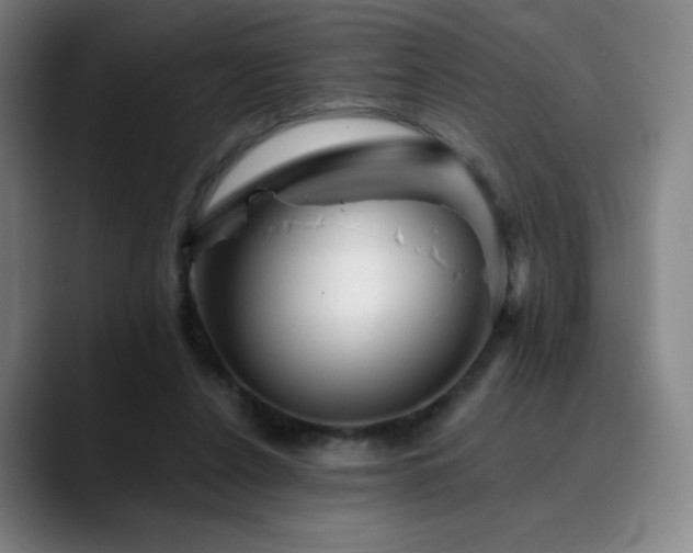 X0000090480256200707131321