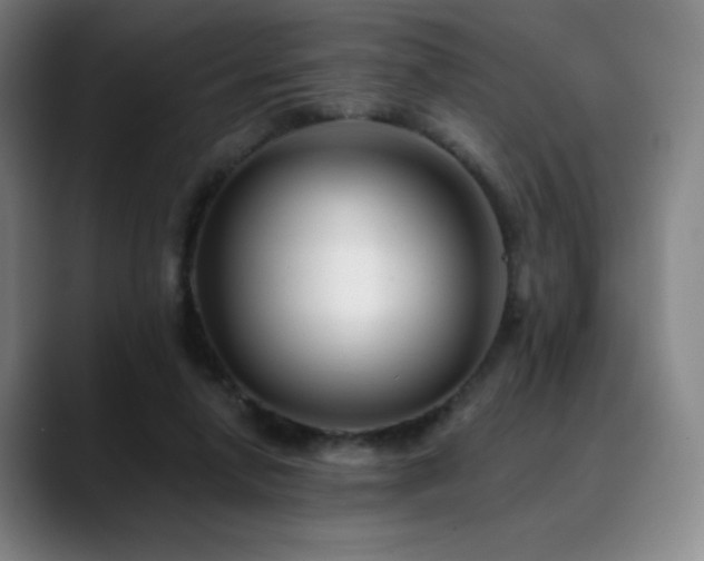 X0000090480258200707131321