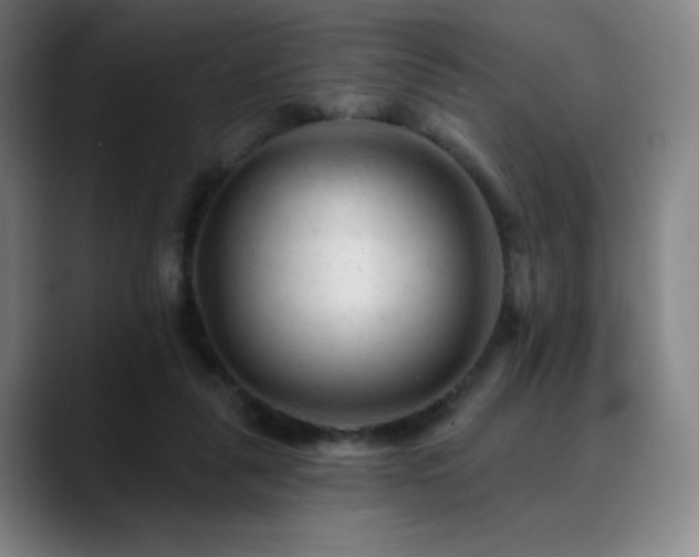 X0000090480259200707131321