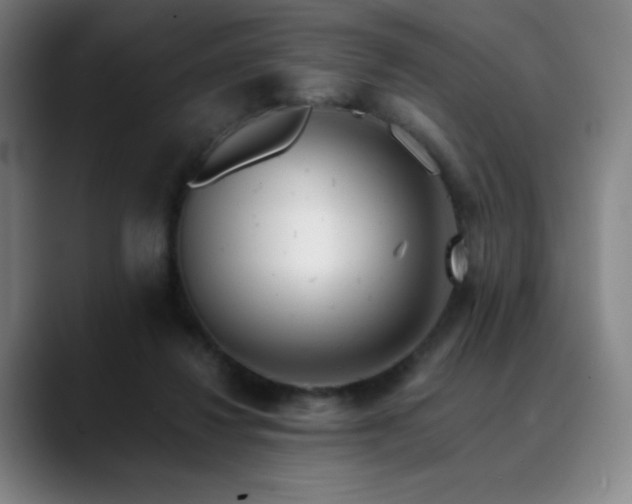 X0000090480260200707131321