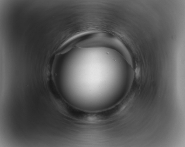 X0000090480264200707131321