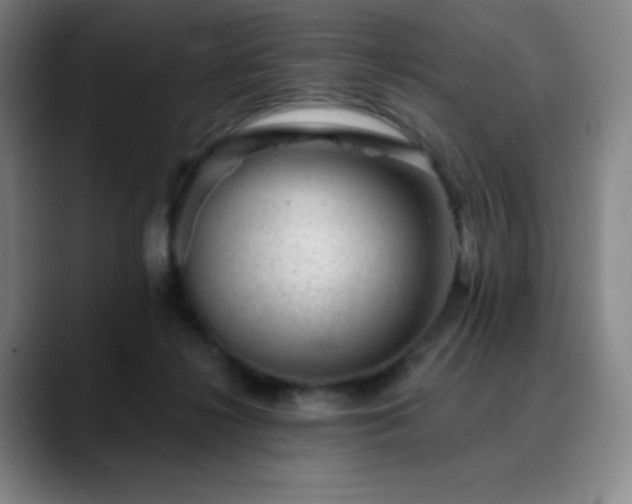X0000090480268200707131321