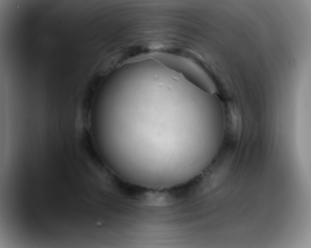 X0000090480272200707131321
