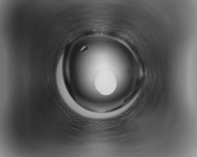 X0000090480276200707131321