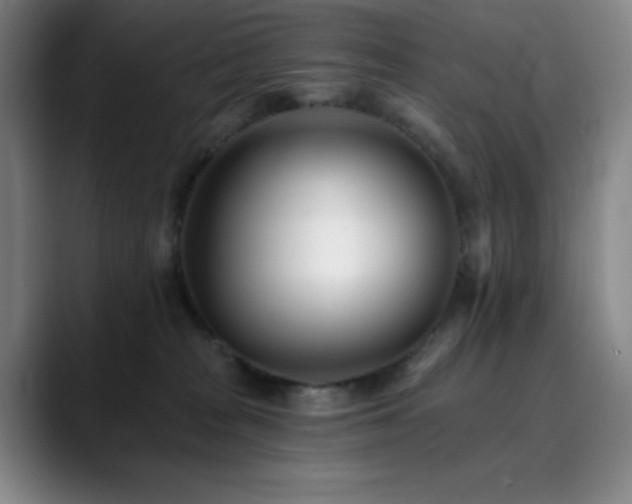 X0000090480277200707131321