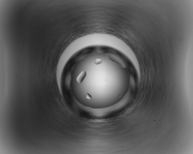 X0000090480280200707131321