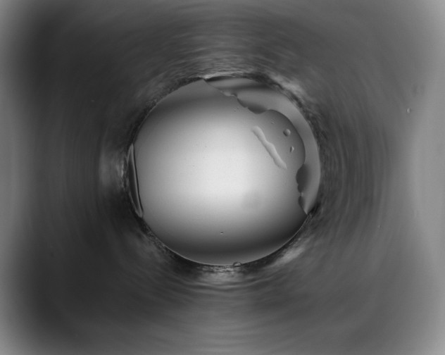 X0000090480288200707131321