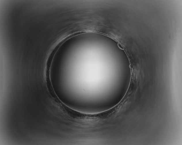 X0000090480292200707131321