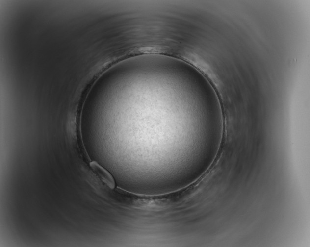 X0000090480297200707131321