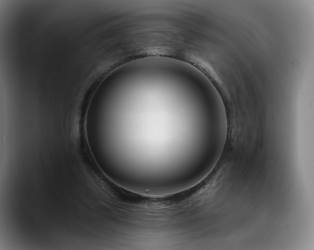X0000090480299200707131321