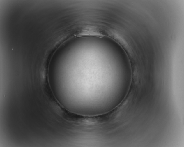 X0000090480305200707131321