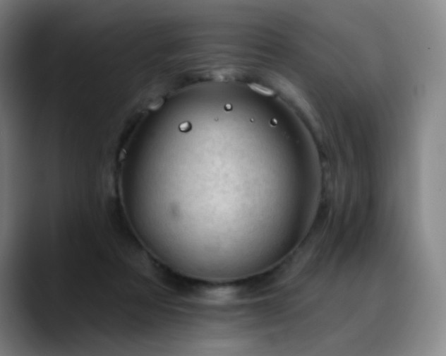 X0000090480313200707131321