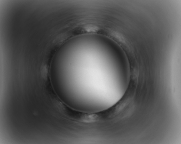 X0000090480321200707131320