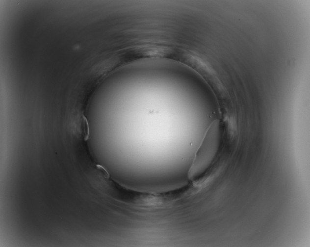 X0000090480325200707131320