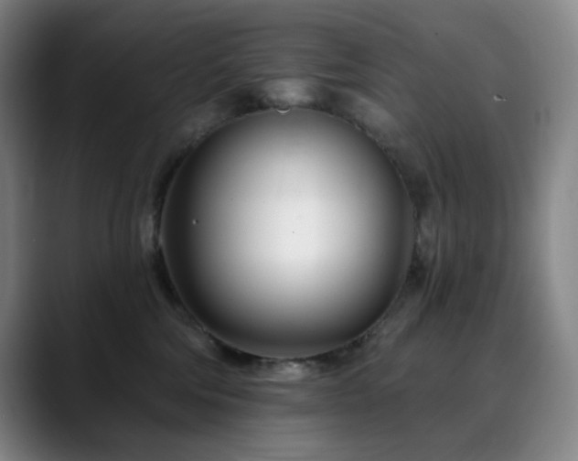 X0000090480330200707131320