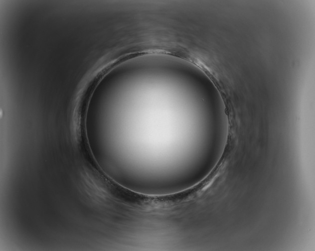 X0000090480343200707131320