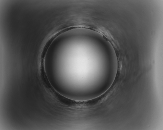 X0000090480344200707131320