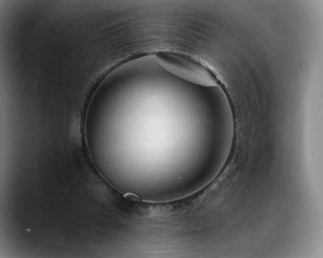 X0000090480345200707131320