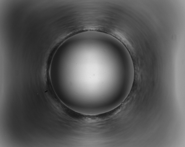 X0000090480346200707131320