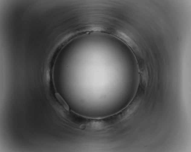 X0000090480350200707131320