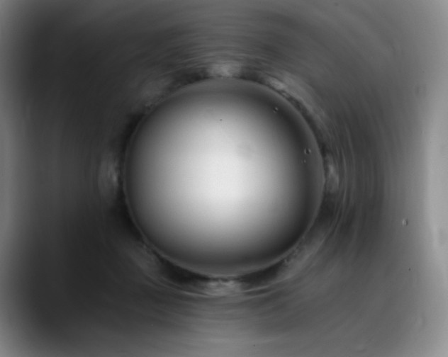 X0000090480363200707131320
