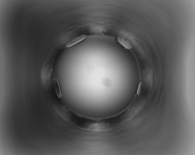 X0000090480364200707131320
