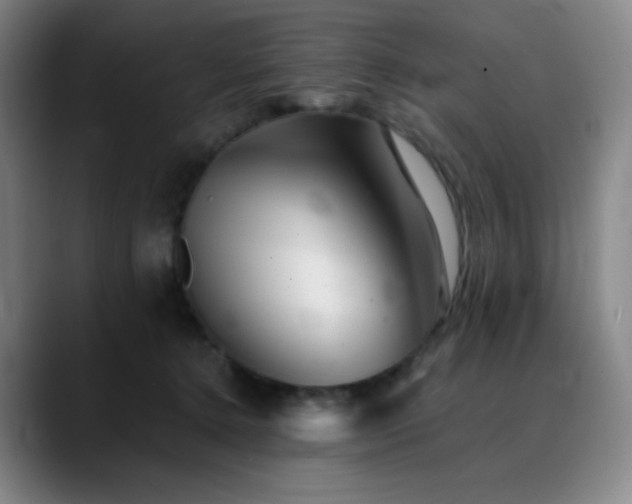X0000090480368200707131320