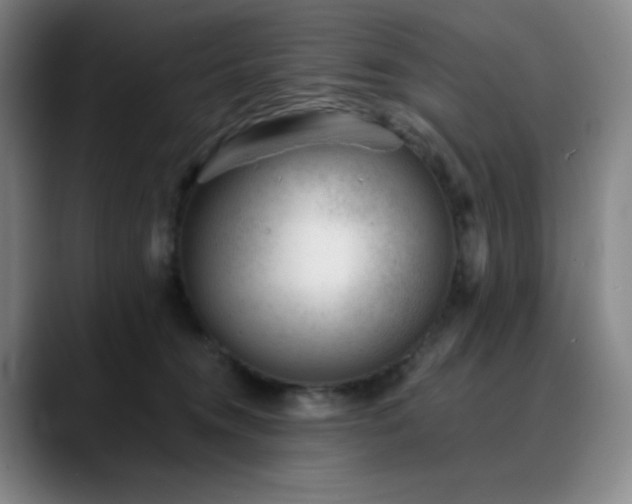 X0000090480372200707131320