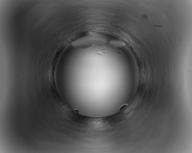 X0000090480377200707131320