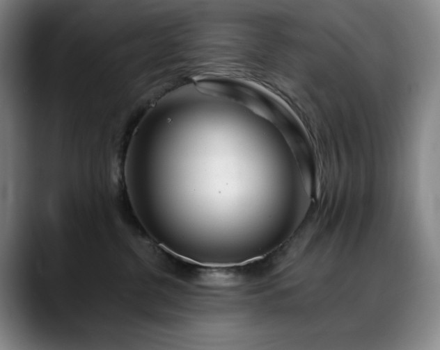 X0000090480380200707131320
