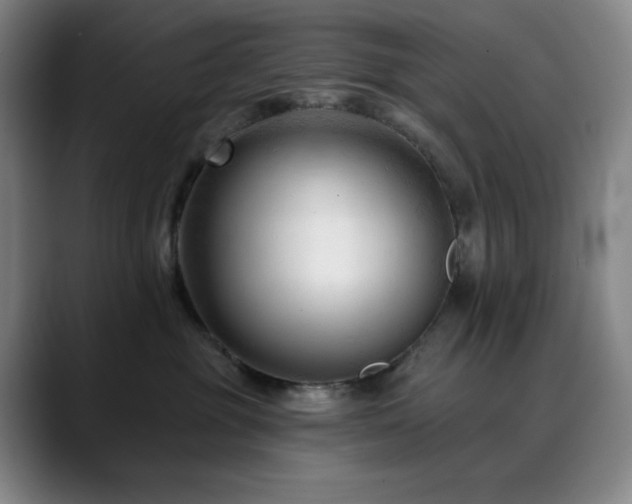 X0000090480381200707131320