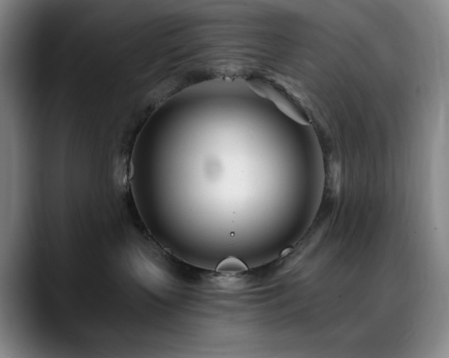 X0000090480383200707131320