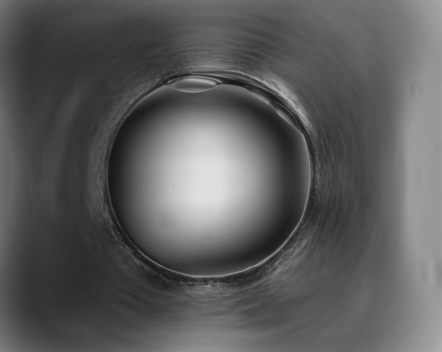 X0000090480385200707131320