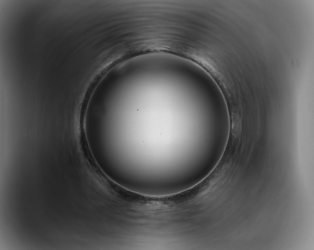 X0000090480390200707131320